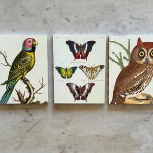 3 BRAND NEW NATURE JOURNALS